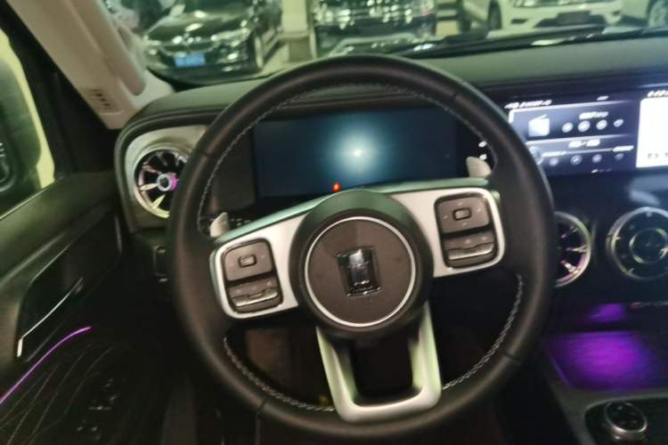 Used Tank 300 2021 Off-Road Edition 2.0T Challenger Steering Wheel