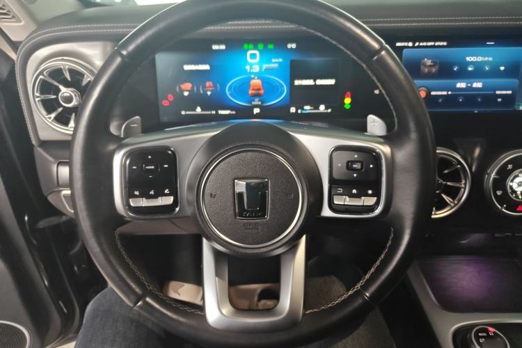Used Tank 300 2021 City Edition 2.0T—Truly Stylish Steering Wheel