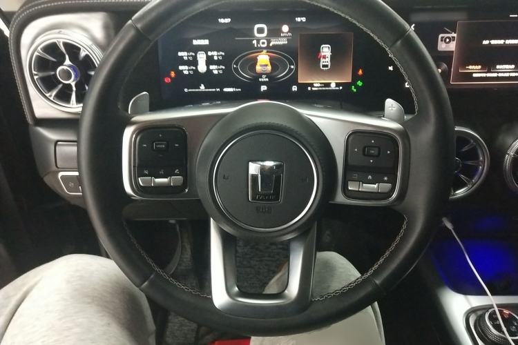Used Tank 300 2021 City Edition 2.0T—Truly Stylish Steering Wheel