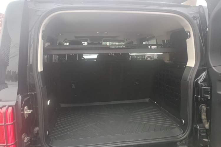 Used Tank 300 2021 City Edition 2.0T—Truly Stylish Trunk