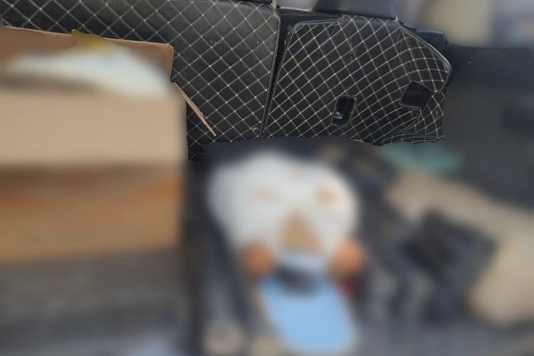 Used Tank 300 2021 City Edition 2.0T—Truly Stylish Trunk