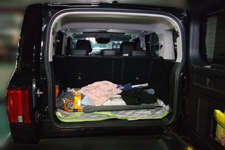 Used Tank 300 2021 City Edition 2.0T—Truly Stylish Trunk