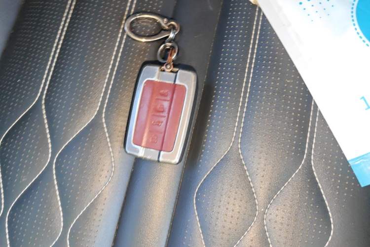 Used Tank 300 2021 Off-Road Edition 2.0T Challenger Vehicle Key