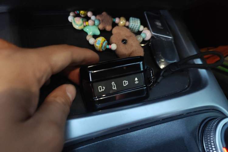 Used Tank 300 2021 2.0T Monet Tribute Limited Edition Vehicle Key