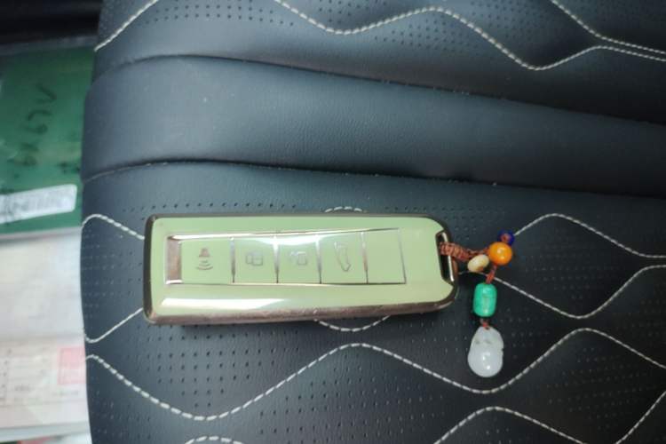 Used Tank 300 2021 Off-Road Edition 2.0T Challenger Vehicle Key