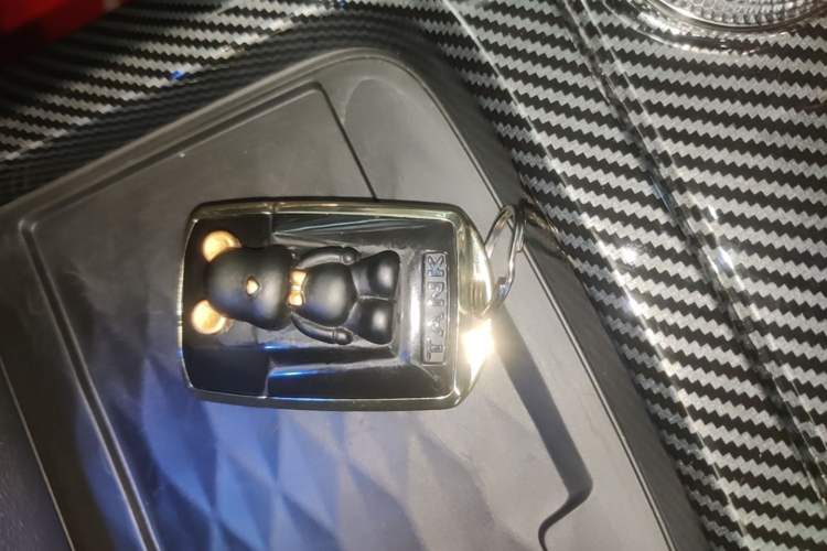 Used Tank 300 2021 Off-Road Edition 2.0T Conqueror Vehicle Key