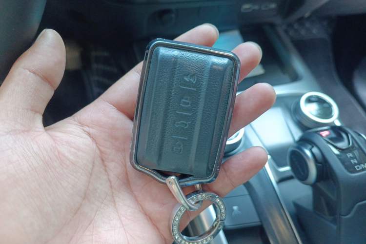 Used Tank 300 2021 Off-Road Edition 2.0T Challenger Vehicle Key