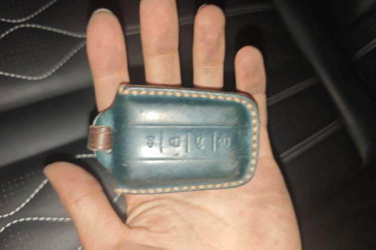 Used Tank 300 2021 Off-Road Edition 2.0T Challenger Vehicle Key