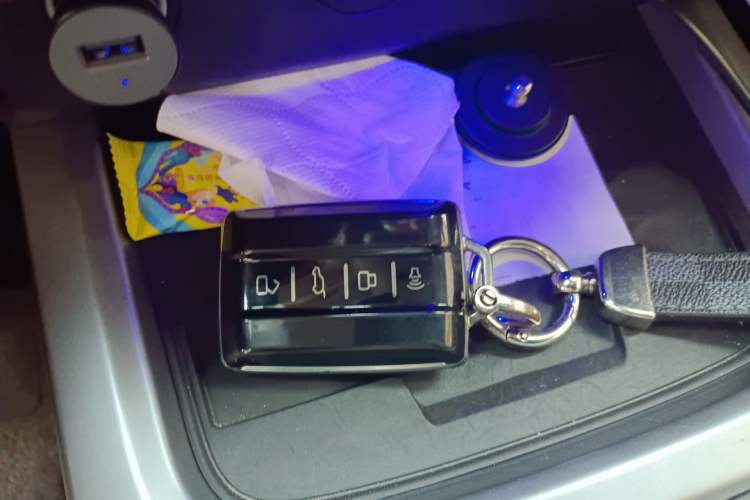 Used Tank 300 2021 Off-Road Edition 2.0T Conqueror Vehicle Key