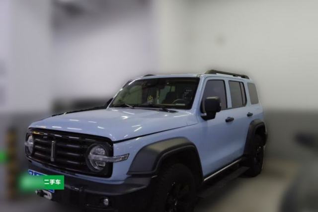 Used Tank 300 2021 2.0T Monet Tribute Limited Edition