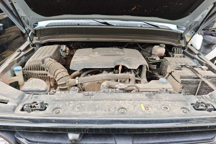 Used Tank 300 2021 2.0T Monet Tribute Limited Edition Engine Bay