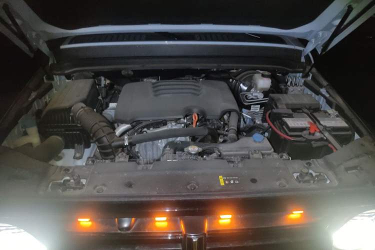 Used Tank 300 2021 2.0T Monet Tribute Limited Edition Engine Bay