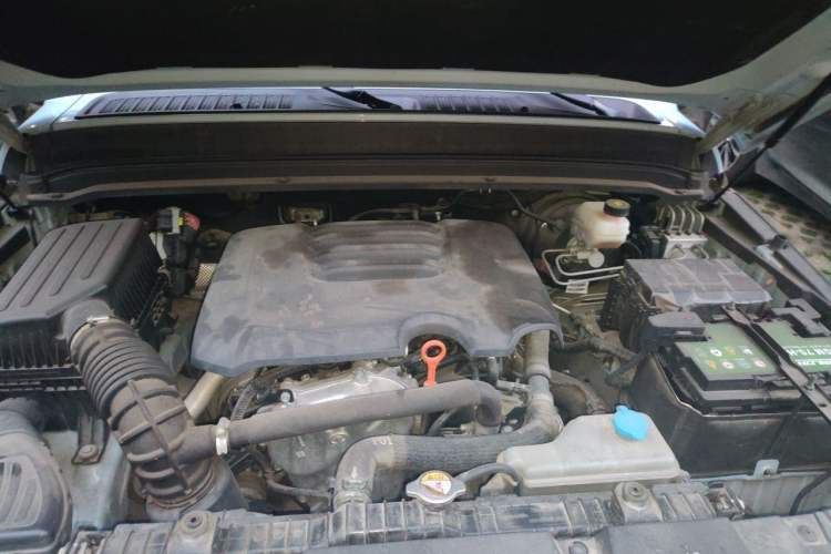 Used Tank 300 2021 2.0T Monet Tribute Limited Edition Engine Bay