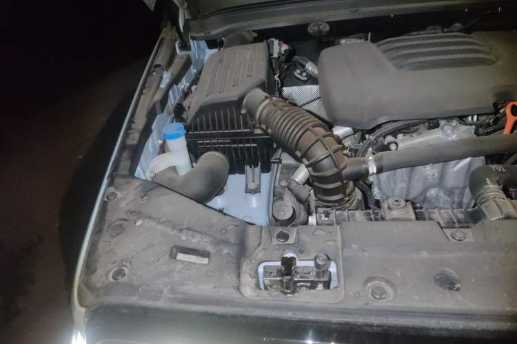 Used Tank 300 2021 2.0T Monet Tribute Limited Edition Engine Bay Right
