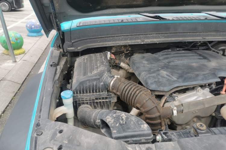 Used Tank 300 2021 Off-Road Edition 2.0T Conqueror Engine Bay Right
