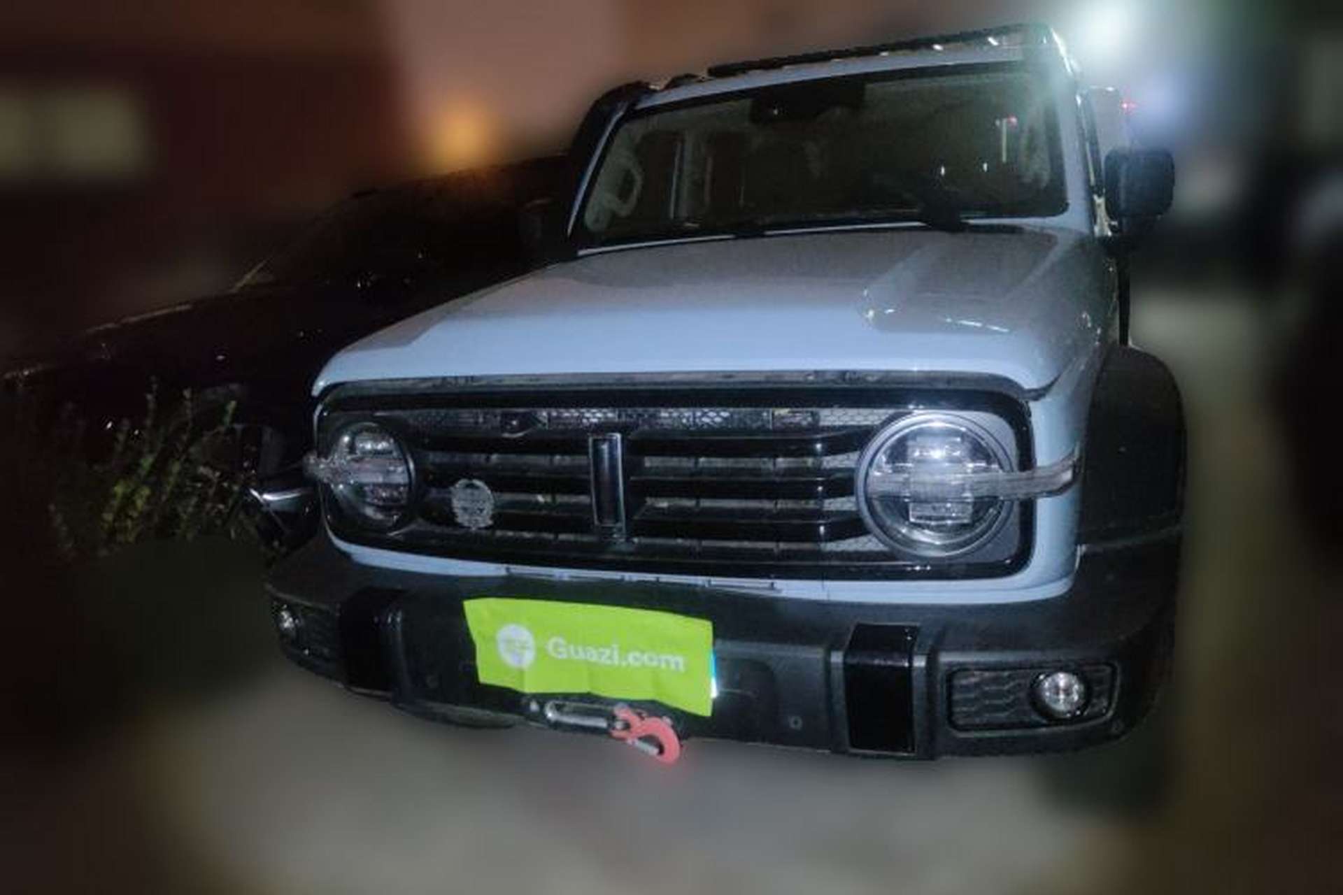 Used Tank 300 2021 2.0T Monet Tribute Limited Edition Front