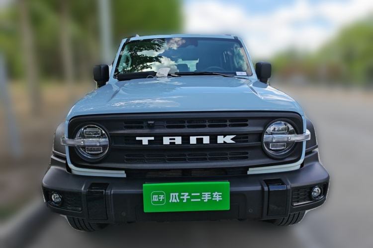 Used Tank 300 2021 2.0T Monet Tribute Limited Edition Front