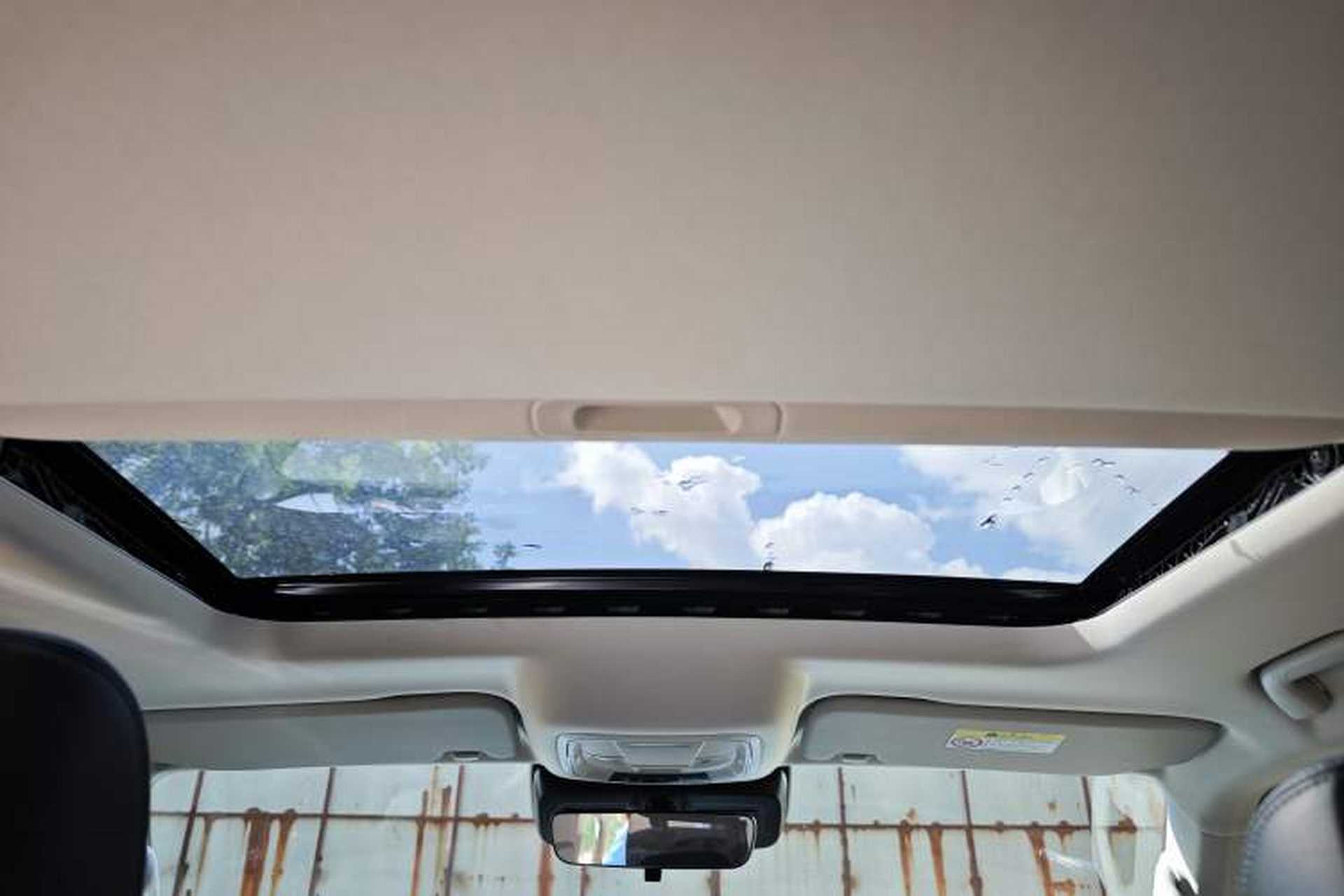 Used Tank 300 2021 2.0T Monet Tribute Limited Edition Headliner