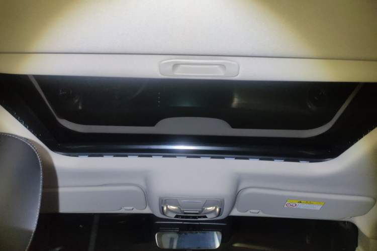 Used Tank 300 2021 2.0T Monet Tribute Limited Edition Headliner