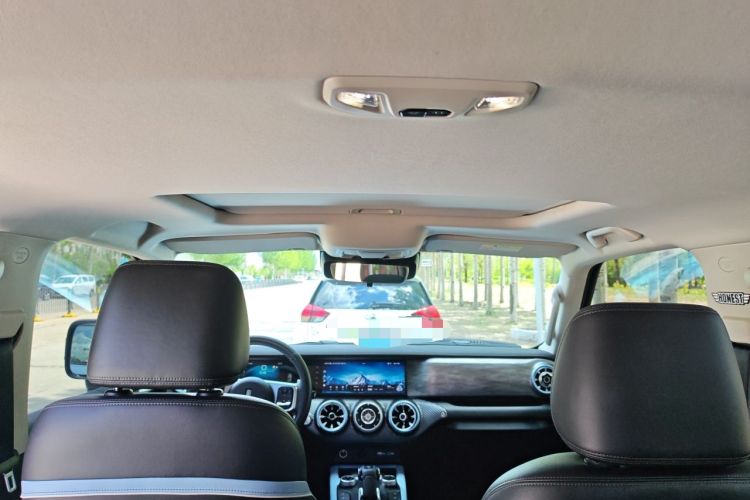 Used Tank 300 2021 2.0T Monet Tribute Limited Edition Headliner