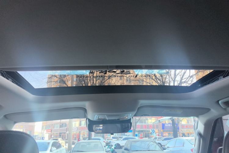 Used Tank 300 2021 Off-Road Edition 2.0T Challenger Headliner