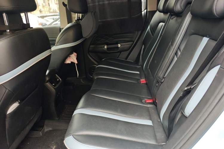 Used Tank 300 2021 2.0T Monet Tribute Limited Edition Left Rear Seat
