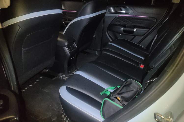 Used Tank 300 2021 2.0T Monet Tribute Limited Edition Left Rear Seat