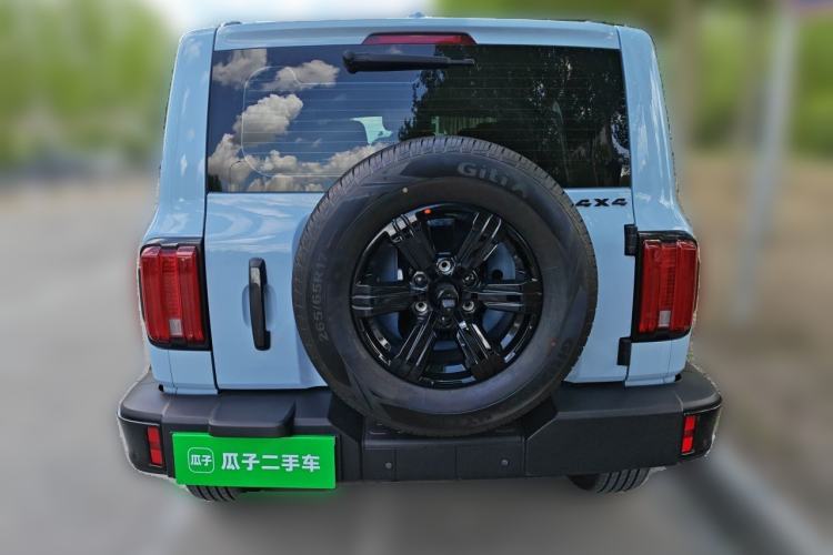 Used Tank 300 2021 2.0T Monet Tribute Limited Edition Rear