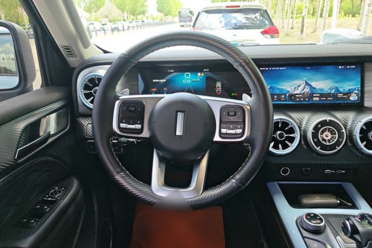 Used Tank 300 2021 2.0T Monet Tribute Limited Edition Steering Wheel