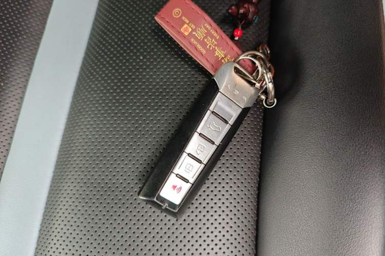 Used Tank 300 2021 2.0T Monet Tribute Limited Edition Vehicle Key