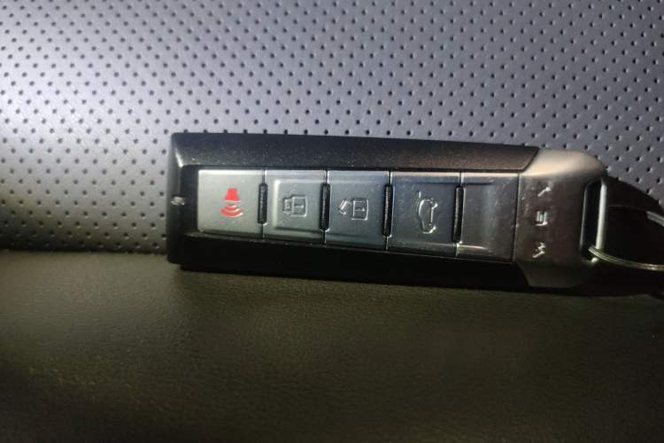 Used Tank 300 2021 2.0T Monet Tribute Limited Edition Vehicle Key