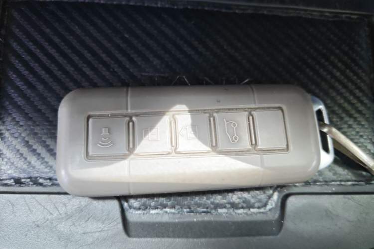 Used Tank 300 2021 2.0T Monet Tribute Limited Edition Vehicle Key
