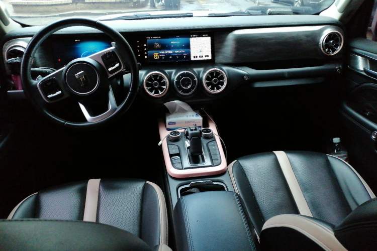 Used Tank 300 2021 City Edition 2.0T—Truly Stylish Center Console