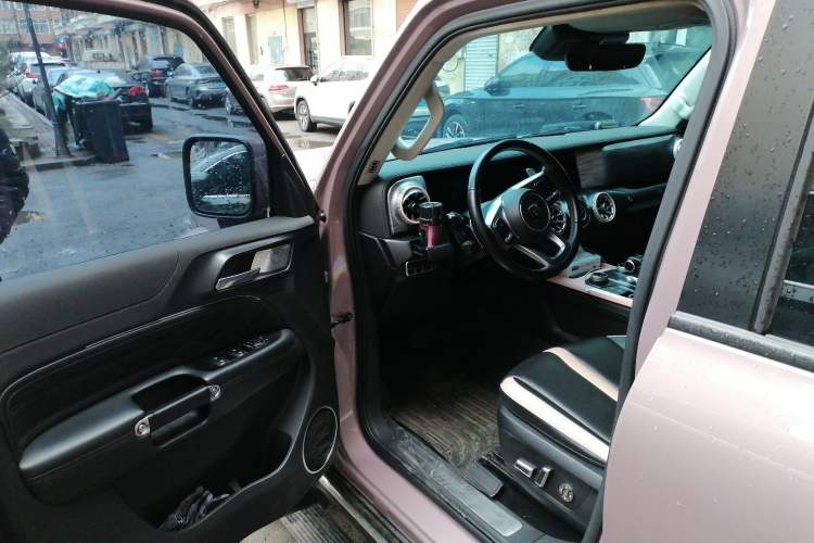 Used Tank 300 2021 City Edition 2.0T—Truly Stylish Driver Seat