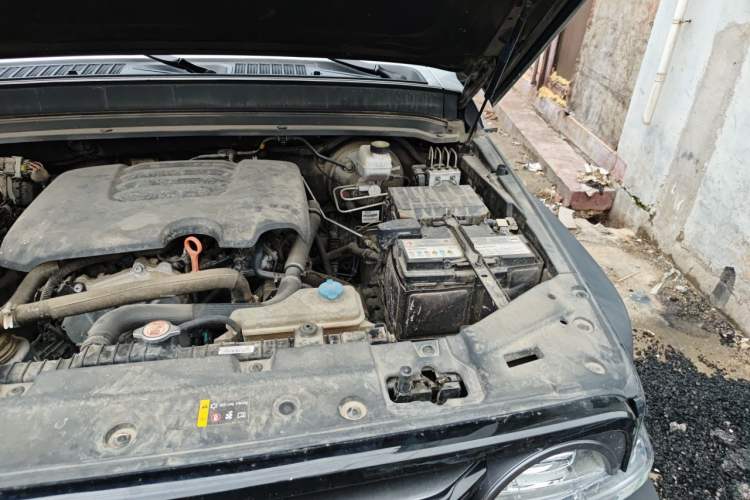 Used Tank 300 2021 Off-Road Edition 2.0T Conqueror Engine Bay Left