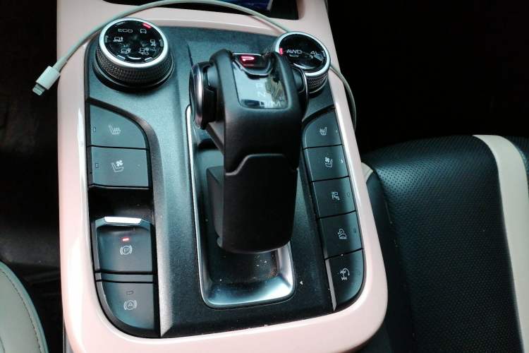 Used Tank 300 2021 City Edition 2.0T—Truly Stylish Gear Lever