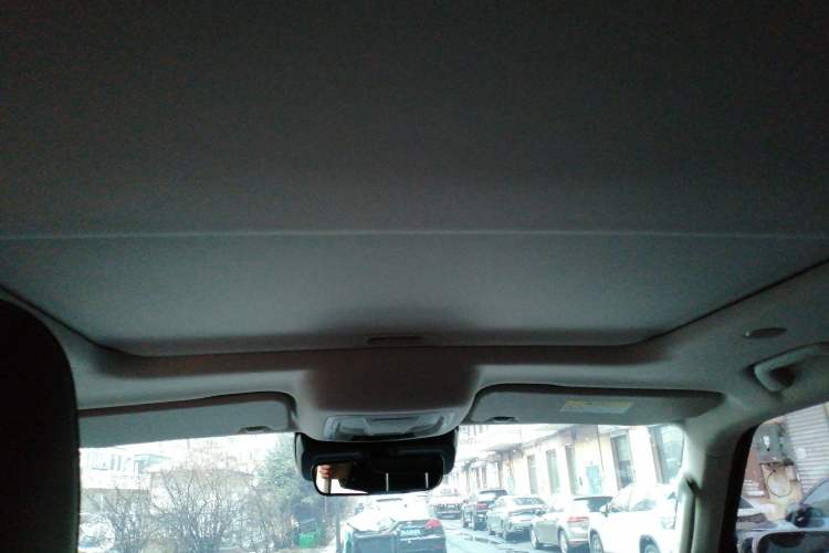 Used Tank 300 2021 City Edition 2.0T—Truly Stylish Headliner