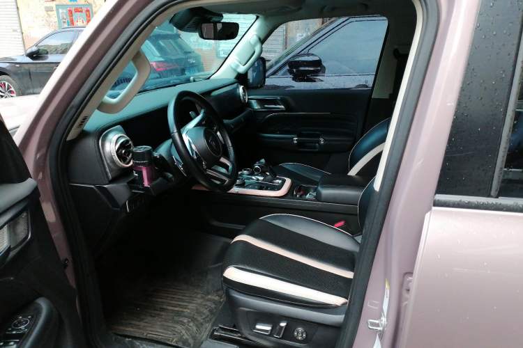 Used Tank 300 2021 City Edition 2.0T—Truly Stylish Left Front Seat