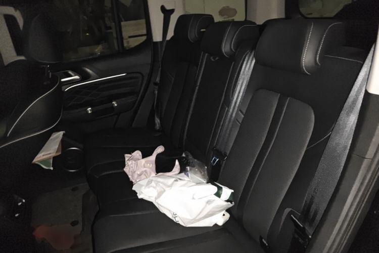 Used Tank 300 2021 Off-Road Edition 2.0T Conqueror Left Rear Seat