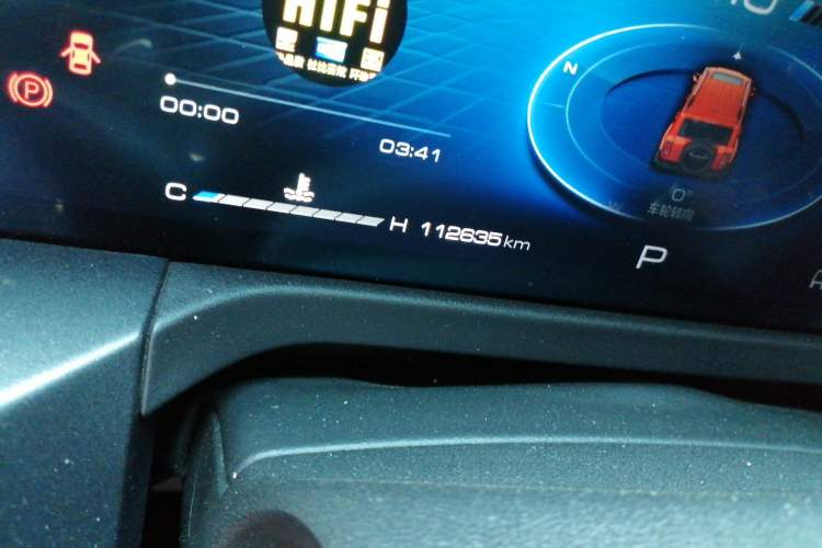 Used Tank 300 2021 City Edition 2.0T—Truly Stylish Odometer Close Up