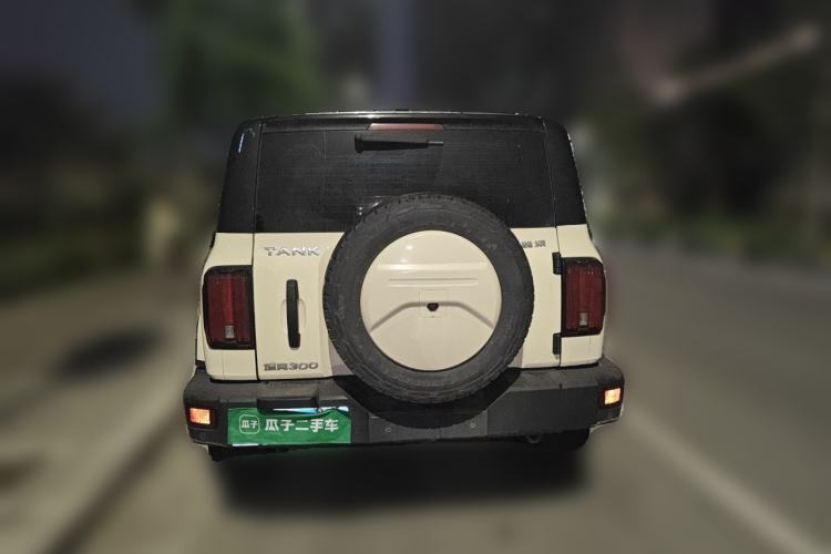 Used Tank 300 2021 Off-Road Edition 2.0T Conqueror Rear