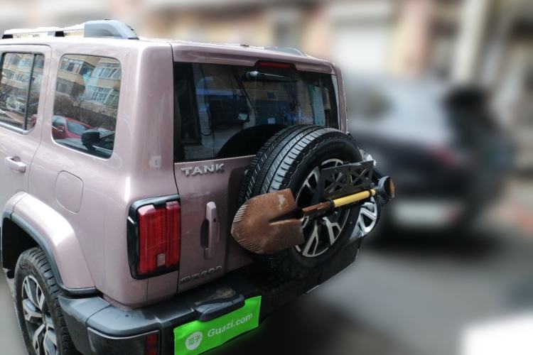 Used Tank 300 2021 City Edition 2.0T—Truly Stylish Rear