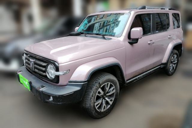 Used Tank 300 2021 City Edition 2.0T—Truly Stylish