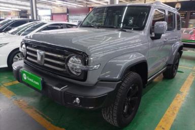 Used Tank 300 2021 City Edition 2.0T—Truly Stylish
