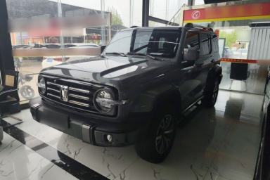 Used Tank 300 2021 City Edition 2.0T—Truly Stylish