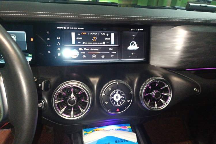 Used Tank 300 2021 Off-Road Edition 2.0T Conqueror Audio And AC Panel