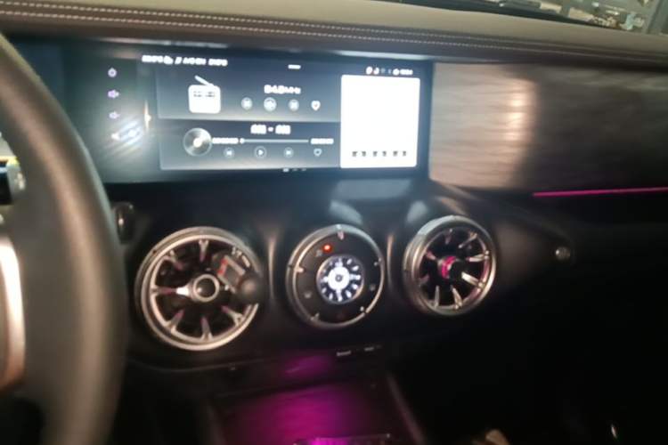 Used Tank 300 2021 Off-Road Edition 2.0T Conqueror Audio And AC Panel