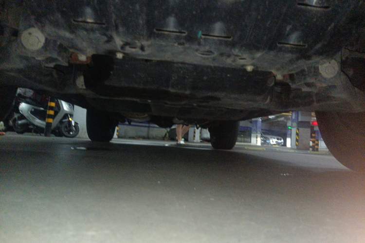 Used Tank 300 2021 Off-Road Edition 2.0T Conqueror Chassis Front
