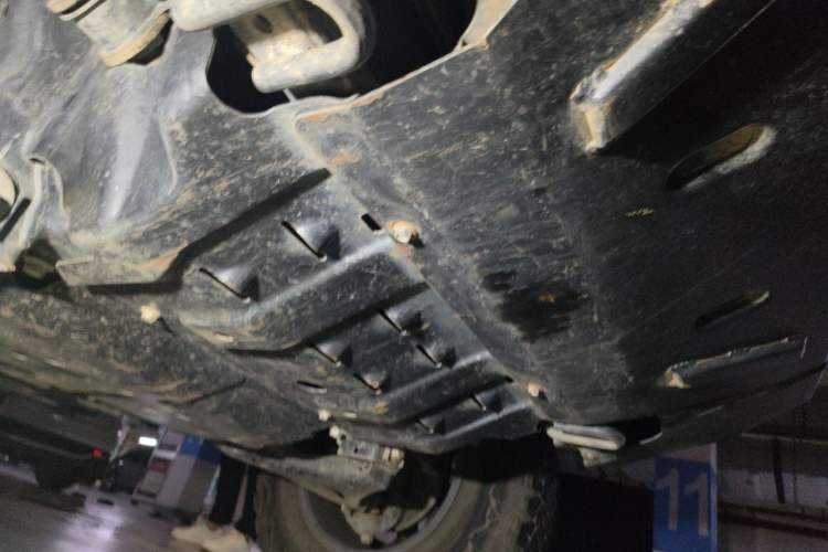 Used Tank 300 2021 Off-Road Edition 2.0T Conqueror Chassis Front