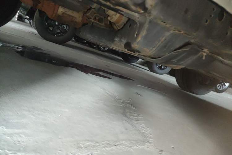 Used Tank 300 2021 Off-Road Edition 2.0T Challenger Chassis Front Left